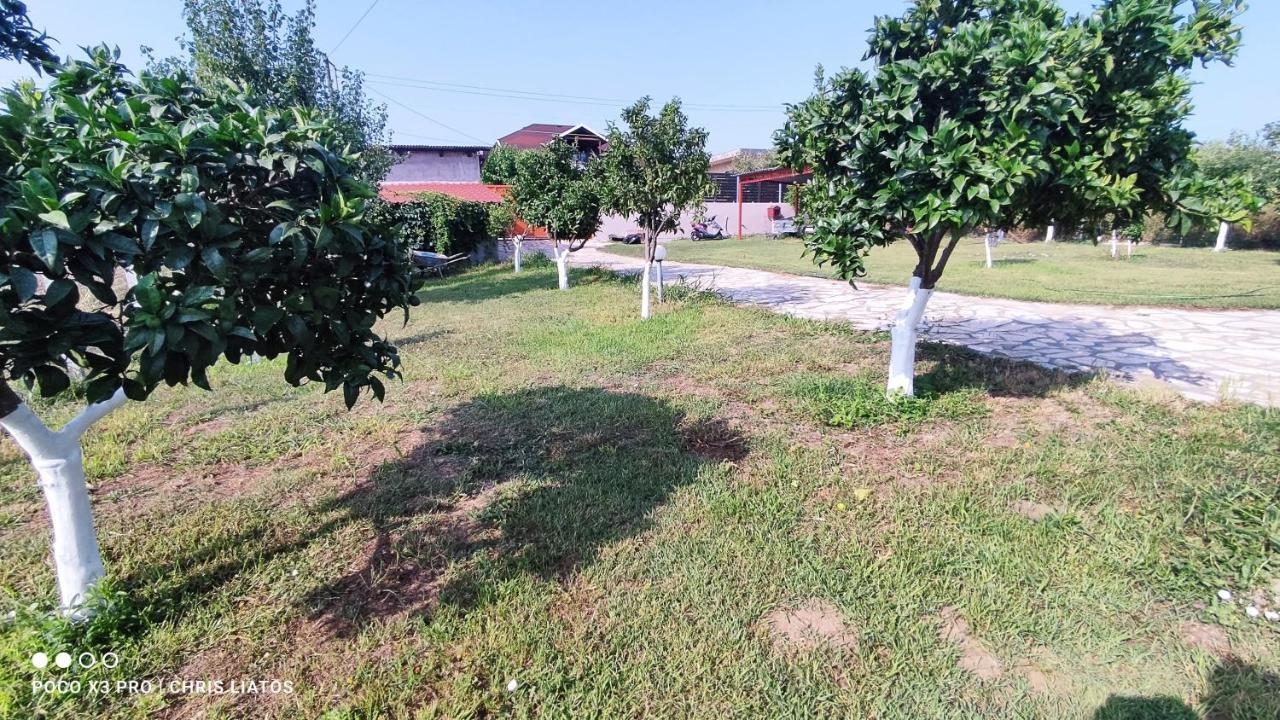 Vivian Philoxenia Villa Nea Sampsounta Exterior photo